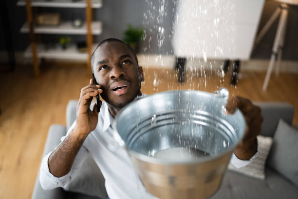 Best Flood damage cleanup  in Barnwell, SC