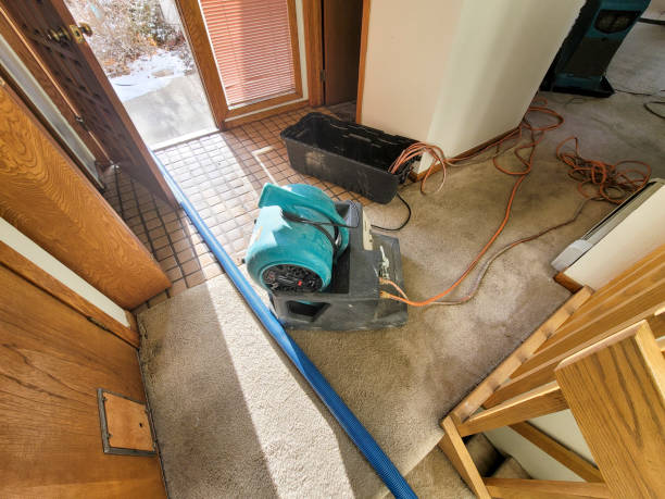 Best Water damage cleanup near me  in Barnwell, SC