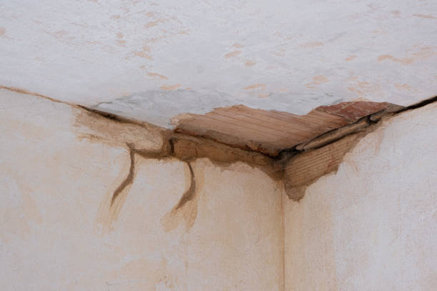 Best Residential water damage restoration  in Barnwell, SC