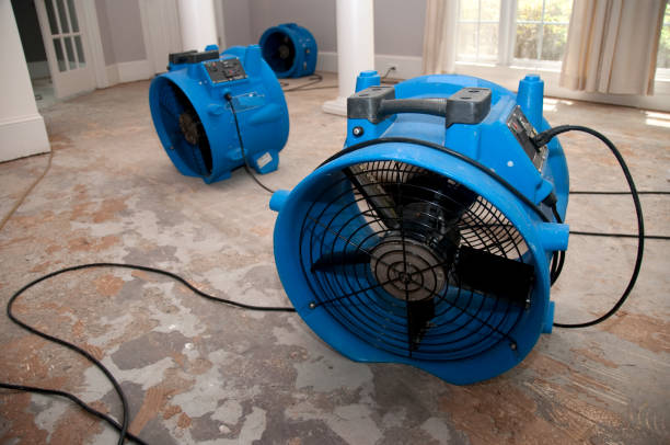 Best Emergency water damage restoration  in Barnwell, SC