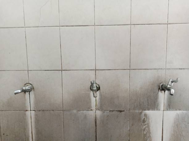 Best Water damage restoration near me  in Barnwell, SC