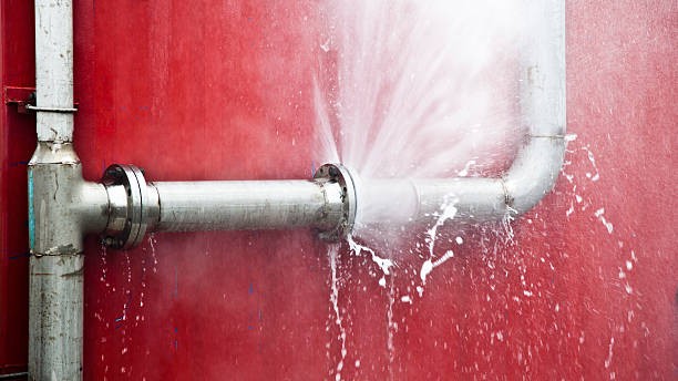Best Carpet water damage restoration  in Barnwell, SC